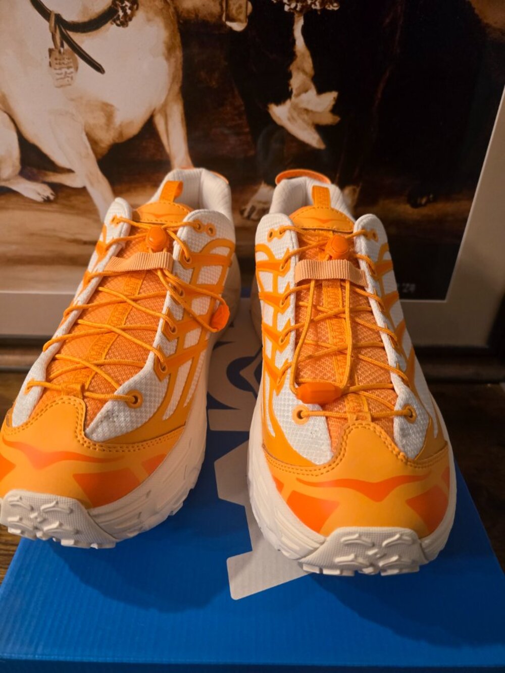 Hoka Mafate Three2 Sun Coral 1141572 / SRLL Running Hiking Shoes Mens 12 NEW - Picture 5 of 10